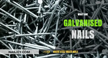 Exploring the Strength and Durability of Galvanized Nails