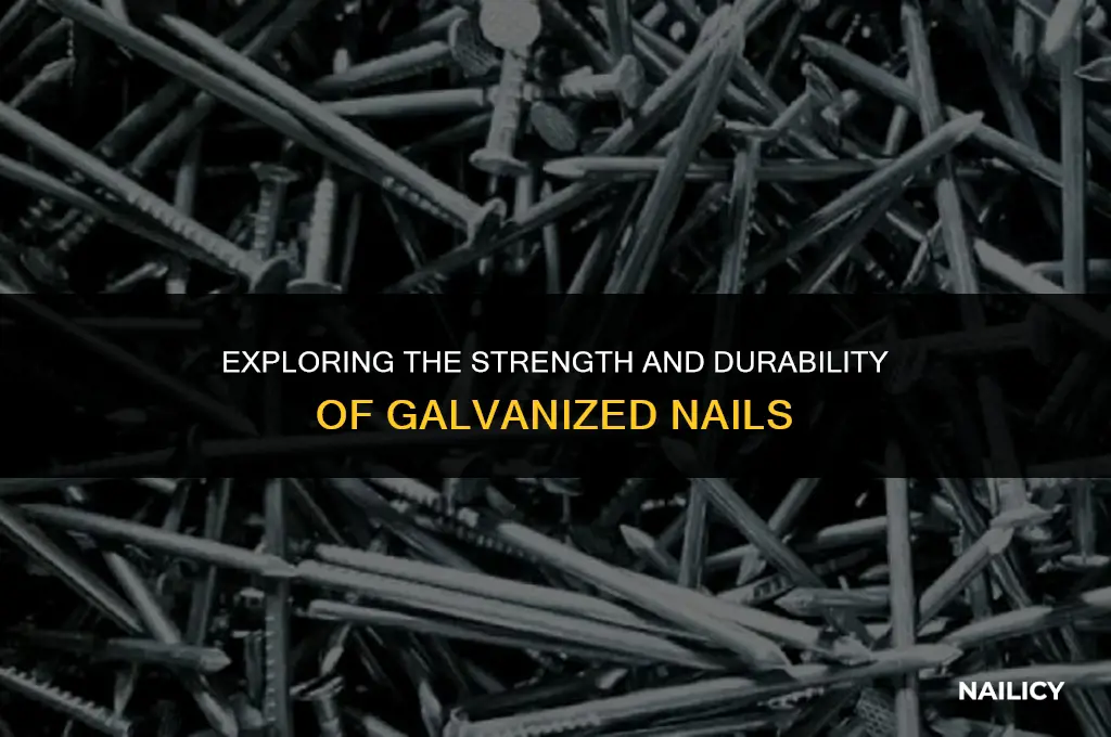 what are galvanised nails