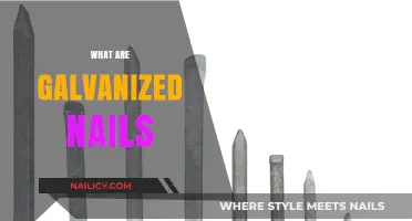 Understanding Galvanized Nails: Uses, Benefits, and Applications in Construction