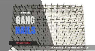 Exploring the Intriguing World of Gang Nails: A Comprehensive Guide