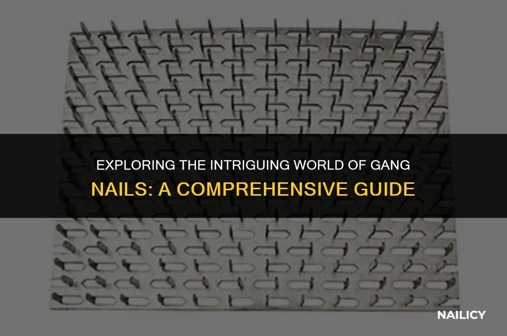 what are gang nails