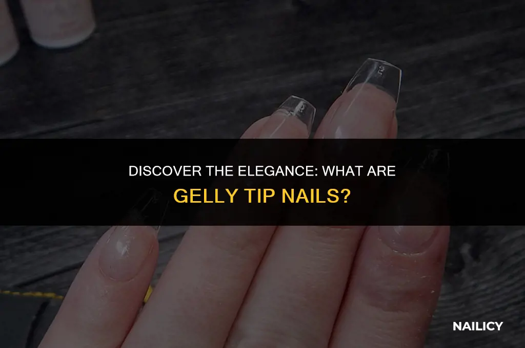 what are gelly tip nails