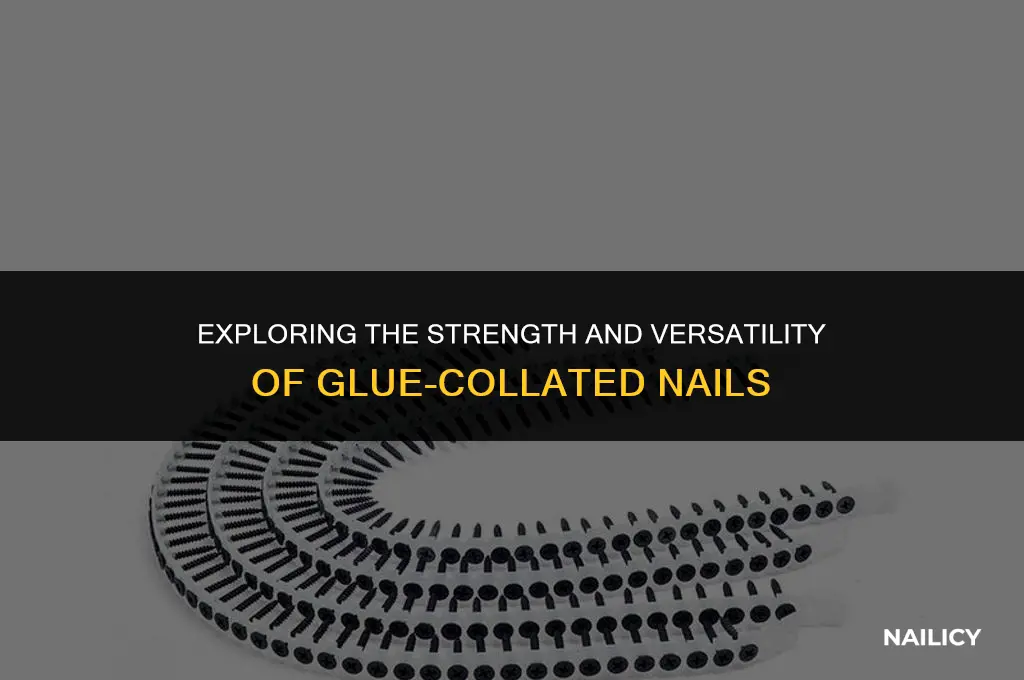 what are glue collated nails