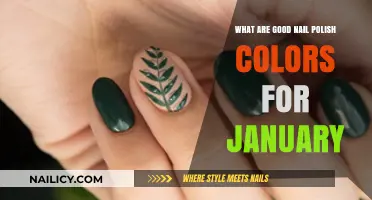 Chic January Nail Polish Colors to Kickstart Your New Year