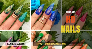 Exploring the World of HD Nails: A Comprehensive Guide