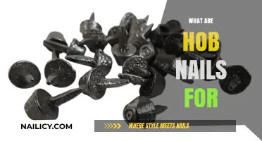 Unveiling the Mystery: What Are Hob Nails Really For?