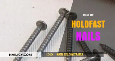 Exploring Holdfast Nails: A Comprehensive Guide to Their Uses and Benefits