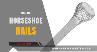 Exploring the World of Horseshoe Nails: A Comprehensive Guide