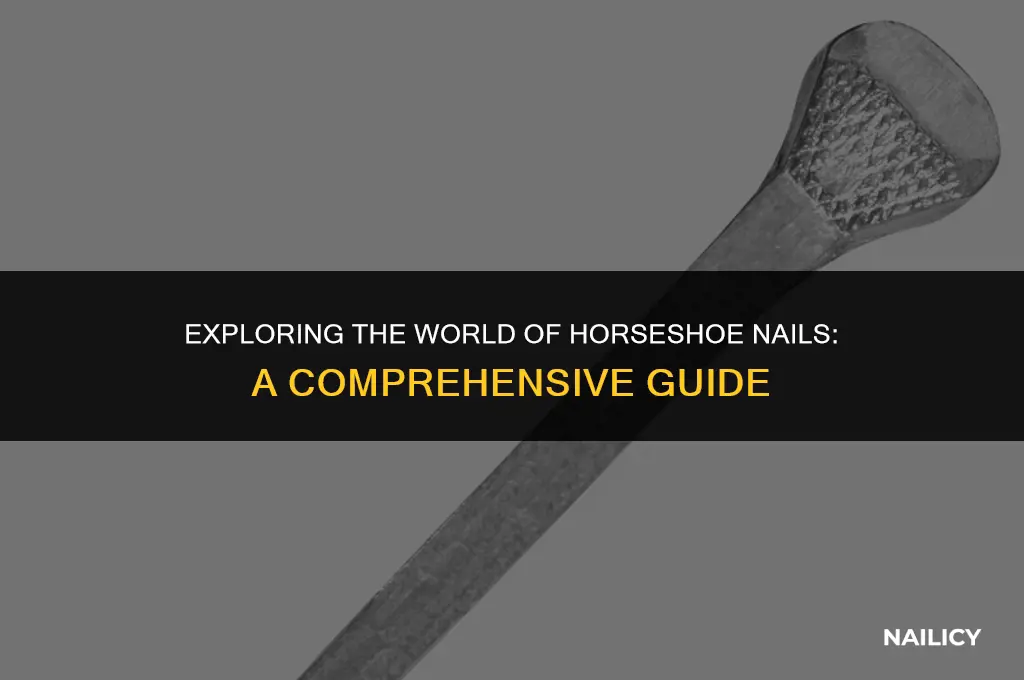 what are horseshoe nails