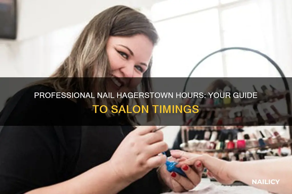 what are hours at professional nail hagerstown
