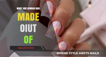 Unveiling the Composition: What Are Human Nails Made Of?