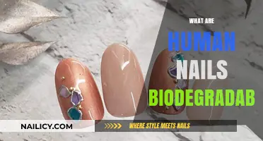 The Eco-Friendly Truth: Are Human Nails Biodegradable?