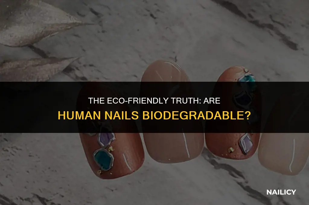 what are human nails biodegradable