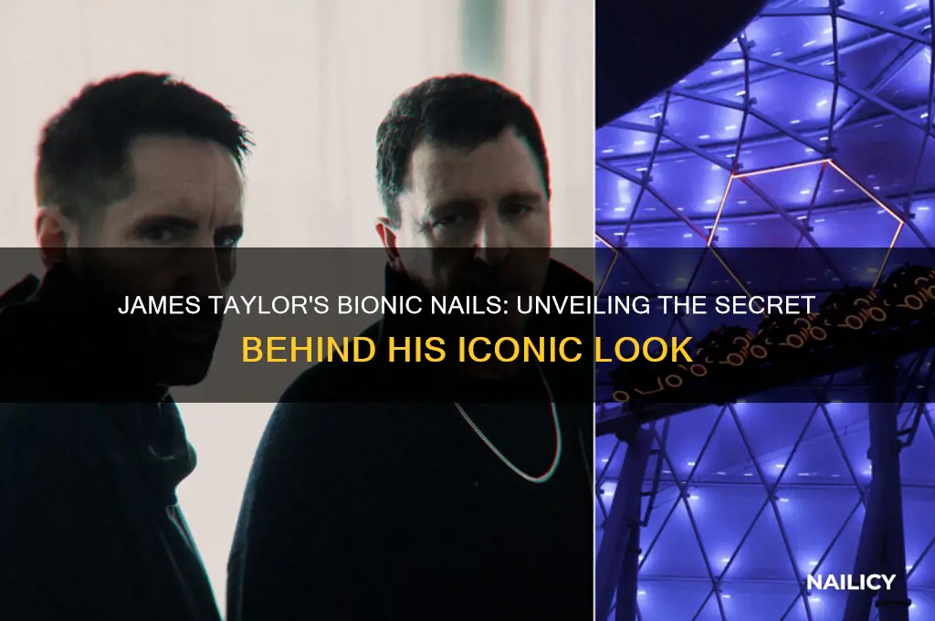 what are james taylor