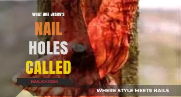 Understanding the Sacred Wounds: What Are Jesus's Nail Holes Called?