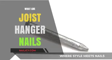 Exploring Joist Hanger Nails: Essential Fasteners for Structural Integrity