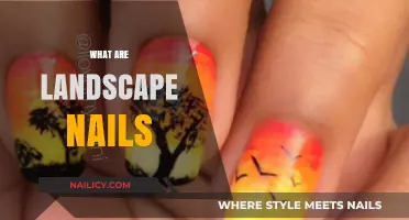 Exploring the Art of Landscape Nails: A Comprehensive Guide