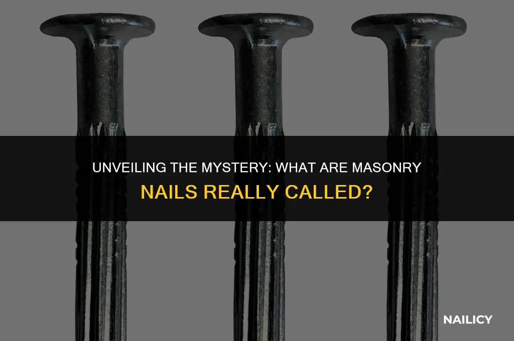 what are masonary nails called