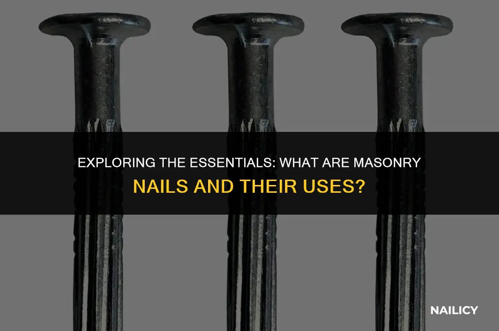 what are masonry nails