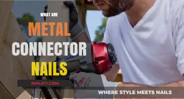 Exploring Metal Connector Nails: The Unsung Heroes of Construction