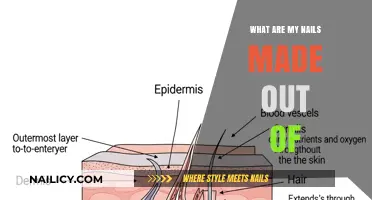 Unveiling the Composition: What Are Your Nails Made Of?