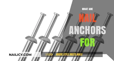 Exploring the Purpose and Power of Nail Anchors in Construction