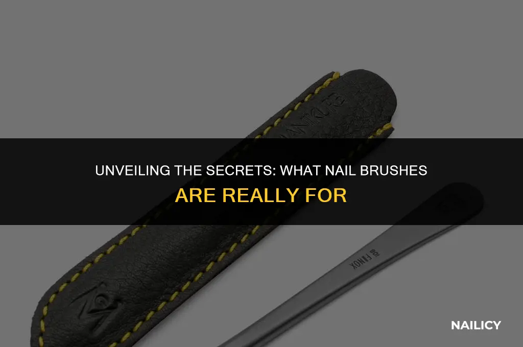 what are nail brushes for