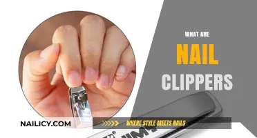 Precision at Your Fingertips: The Essential Guide to Nail Clippers