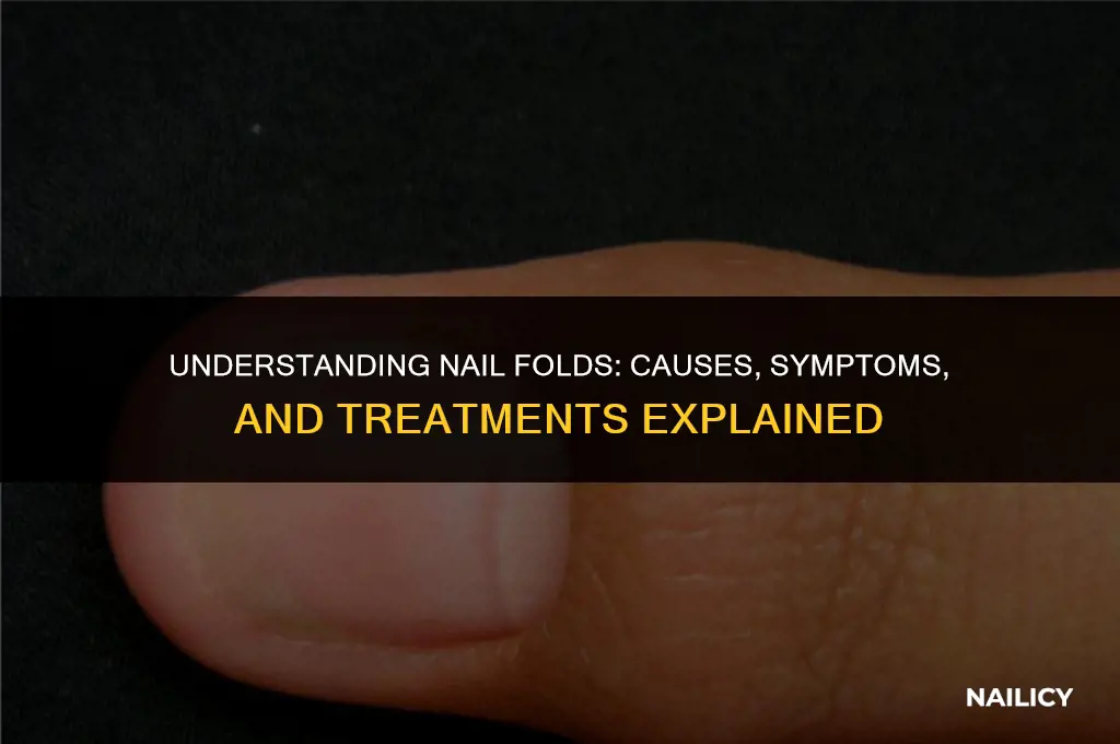 what are nail folds