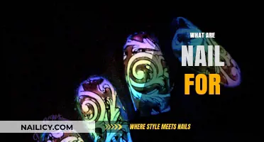Unveiling the Surprising Uses and Benefits of Nails in Everyday Life