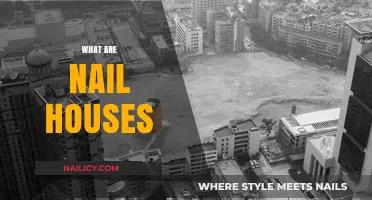 Exploring the Intriguing World of Nail Houses: A Comprehensive Guide
