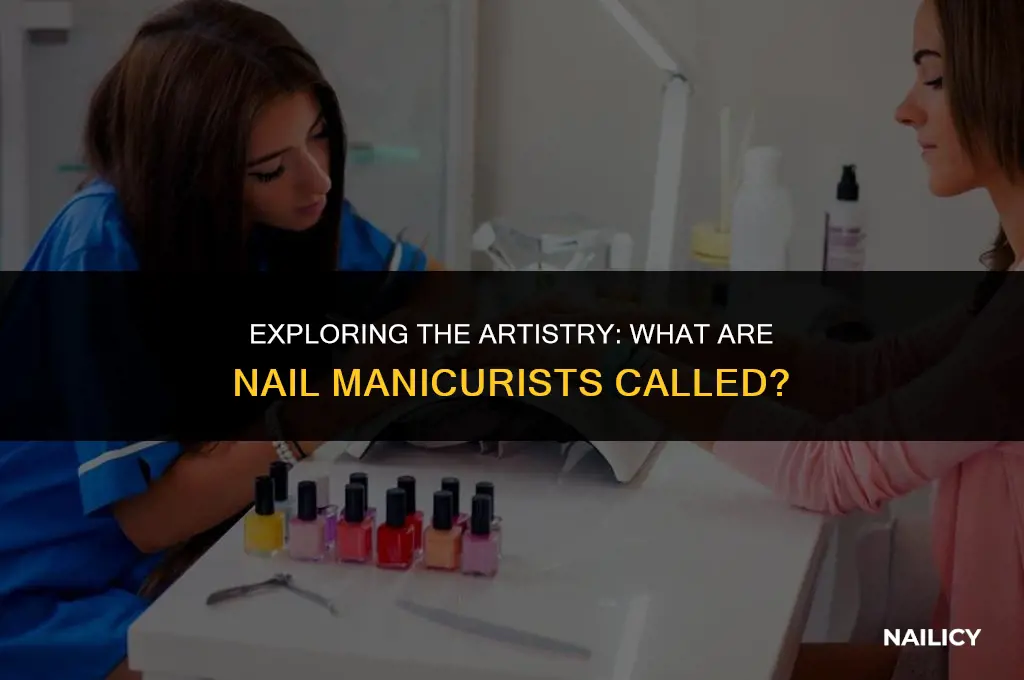 what are nail manicurists called