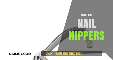 Precision at Your Fingertips: The Essential Guide to Nail Nippers