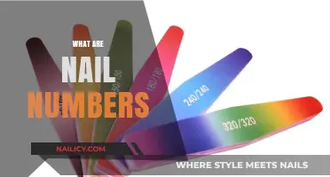 Decoding the Mystery: What Are Nail Numbers and Their Significance?