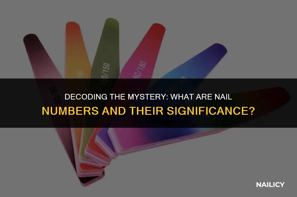what are nail numbers