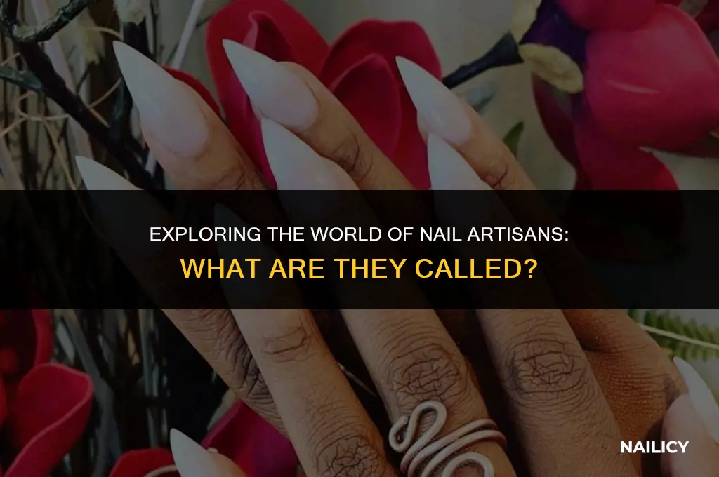 what are nail people called