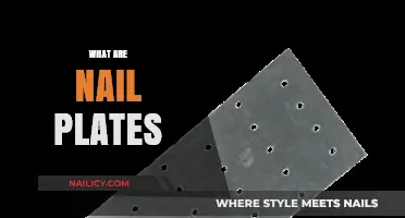Unveiling the Secrets of Nail Plates: A Comprehensive Guide