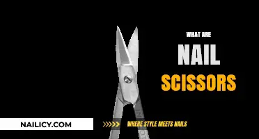 Precision at Your Fingertips: The Essential Guide to Nail Scissors