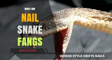 Unveiling the Mystery: What Are Nail Snake Fangs?
