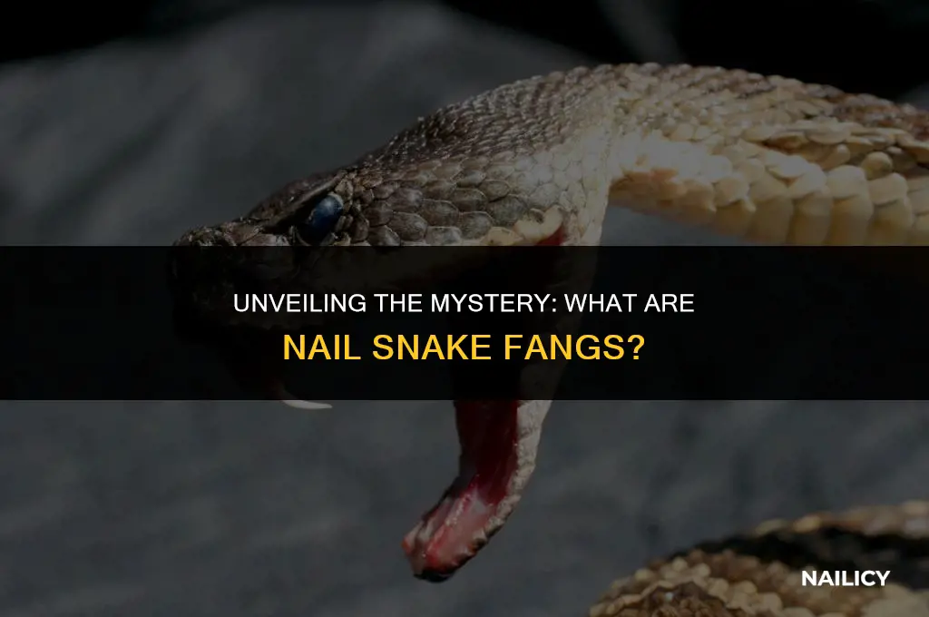 what are nail snake fangs