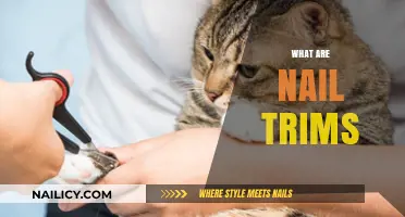 Nail Trims: A Quick Guide to Clipping Your Nails