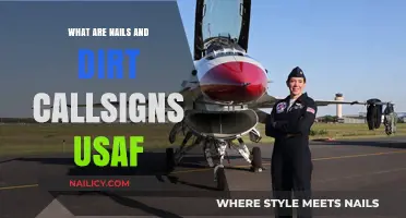 Unveiling USAF Nails and Dirt Callsigns: Origins and Significance Explained