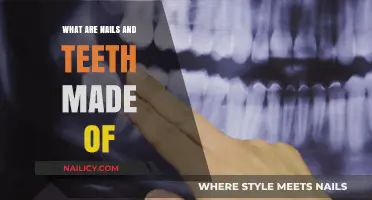Unveiling the Surprising Composition of Nails and Teeth: A Deep Dive