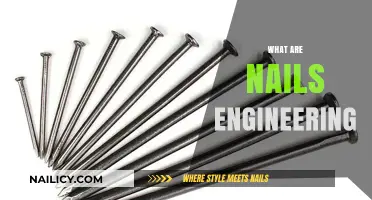Exploring the Fundamentals of Nail Engineering: A Comprehensive Guide