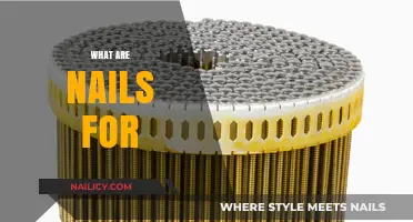 Understanding the Purpose and Function of Nails in Construction and Beyond