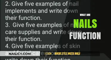 Exploring the Essential Functions of Nails in Everyday Life