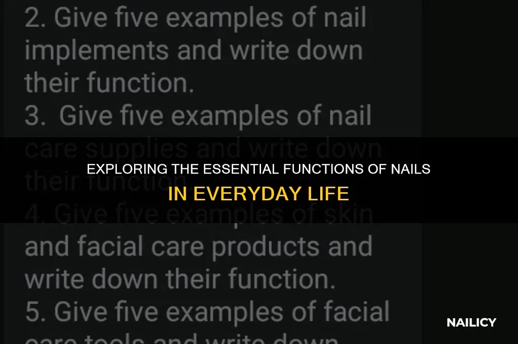what are nails function