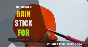 Understanding the Purpose of Nails in Rain Sticks: A Detailed Guide