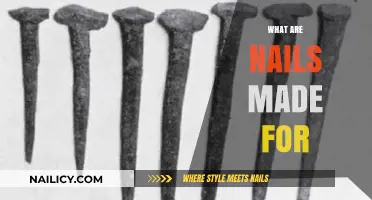 Exploring the Purpose and History of Nails in Construction