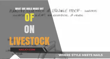 Understanding Livestock Hoof Composition: What Are Their Nails Made Of?
